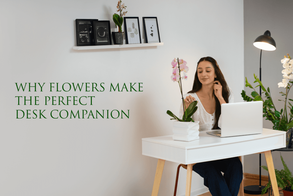 Flowers For Office Desk - 5 Reasons Why Flowers Make the Perfect Desk Companion - Order Now at June Flowers