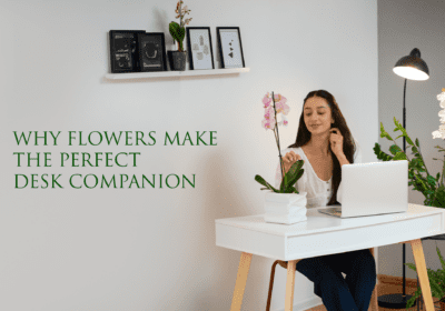 Flowers For Office Desk - 5 Reasons Why Flowers Make the Perfect Desk Companion - Order Now at June Flowers