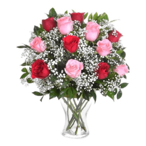 My Flower | Florist Delivery Mumbai | order Now at JF