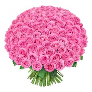 100 Pink Roses with Hand Tied Bouquet JuneFlowers.com