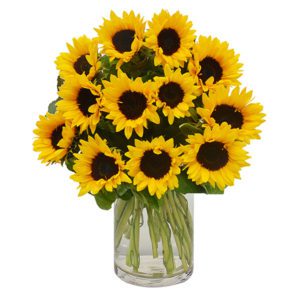 18 Sunflower in Vase | Sunflower bouquet near me | Order Now at June flowers