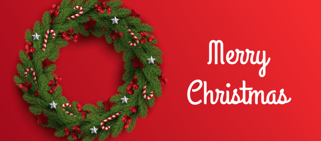 CHRISTMAS FLOWER - 5 Special Ways to Celebrate Christmas 2024 With CHRISTMAS FLOWER - JuneFlowers