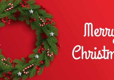 CHRISTMAS FLOWER - 5 Special Ways to Celebrate Christmas 2024 With CHRISTMAS FLOWER - JuneFlowers