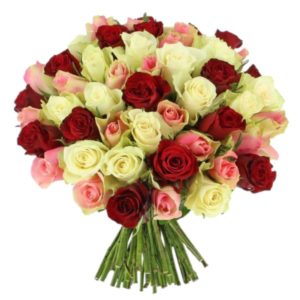 for Man Gift | 50 Roses of Thrice Color Hand Tied Bouquet | Order Now at JF
