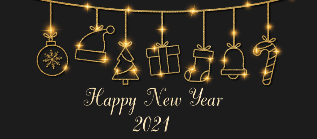 Happy new year flowers - 6 New Year flowers to Make Your New Celebration Lit 2024