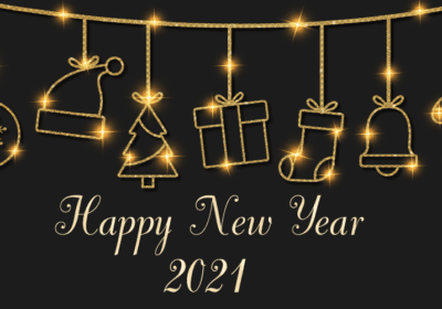 Happy new year flowers - 6 New Year flowers to Make Your New Celebration Lit 2024