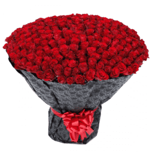 Send/Buy Luxury 500 roses bouquet | Big Heart | JuneFlowers