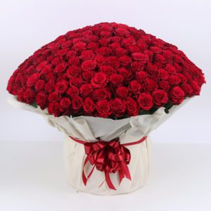 A huge bouquet of 500 red roses wrapped in tissue floral wraps completed with a maroon satin ribbon.