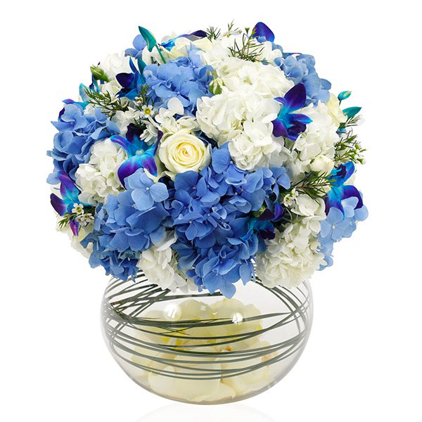 Dazzling Hydrangea with Orchid in Fish Bowl Hydrangea with Orchid in Vase | Online Flower Delivery Sites | Order Now at June Flower