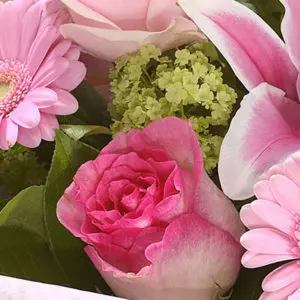 Deep affection JuneFlowers.com