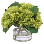 Green Hydrangea in Cylinder Vase JuneFlowers.com