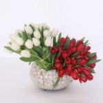 Buy Lavish Tulips | Tulips Flowers Near Me | Juneflowers.com