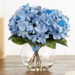 Apology Flowers - Soothing Hydrangea in BlueFlowers | Order Now JuneFlowers
