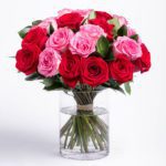 Lovely Pink Red Roses | Send light pink roses Flowers | Order Now Juneflowers.com
