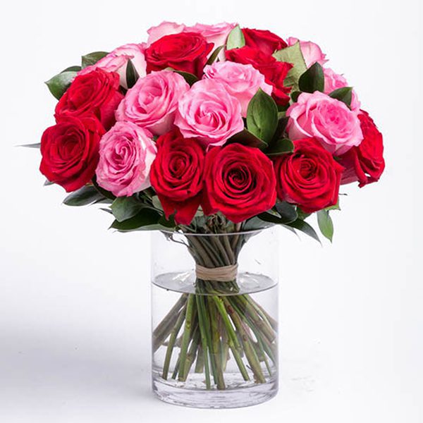 Lovely Red and Pink Roses Lovely Pink Red Roses | Send light pink roses Flowers | Order Now Juneflowers.com