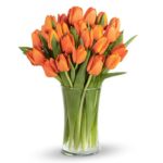 Orange Tulip | Tulip flowers Delivery | June flowers.com