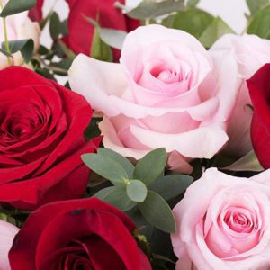 A beautiful Combination of Red and Light Pink Roses with Vase Cylinder from JuneFlowers.com
