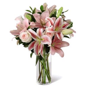 Stargazer Lillye | Flower Delivery in Bangalore | Order Now at JF
