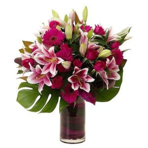 Stargazer Lilly with Dark Pink Gerberas | The perfect lily in vase |Flowers Delivery Bangalore | June Flowers