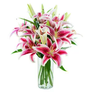 Lily Bouquet | Online Flower Bouquet Delivery | Orde Now at JF