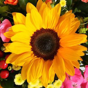Sunflowers with Mix Flowers in Vase JuneFlowers.com