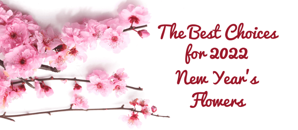 New Year Flowers - The Best Choices for 2022