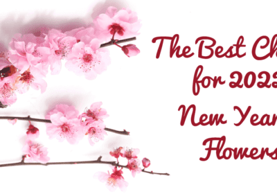 New Year Flowers - The Best Choices for 2022