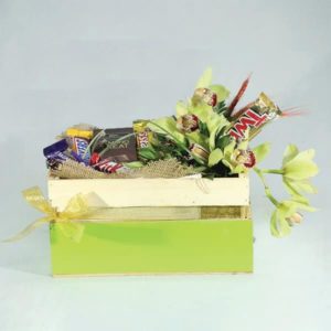 Treat Diwali Hampers | flower delivery mumbai same day |