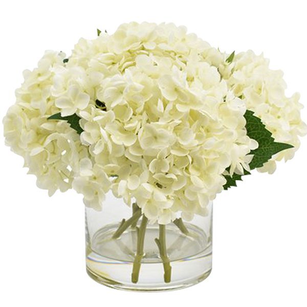 White Hydrangea in Cylinder Vase White Hydrangea in Cylinder Vase JuneFlowers.com