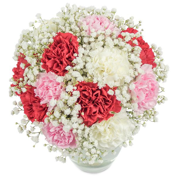 The best Carnation Flowers | Online Flowers Delivery in Bangalore | JuneFlowers.com