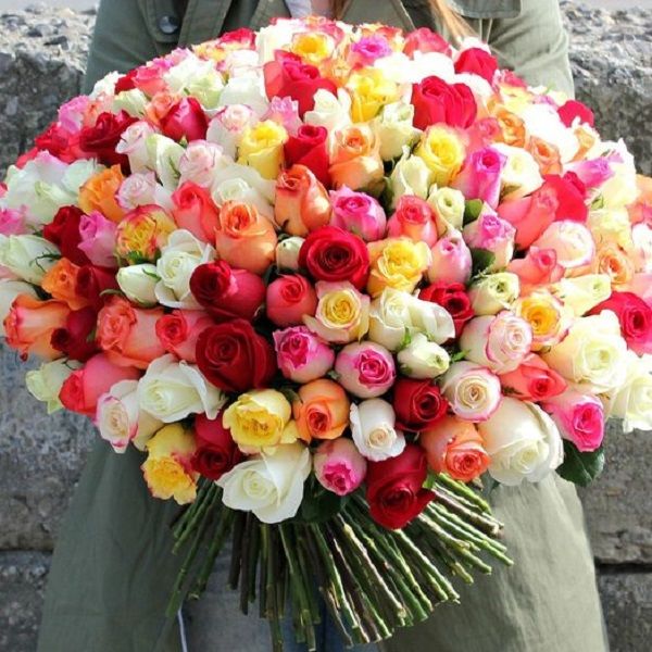 201 Roses | flower delivery to Mumbai a| JuneFlowers.com