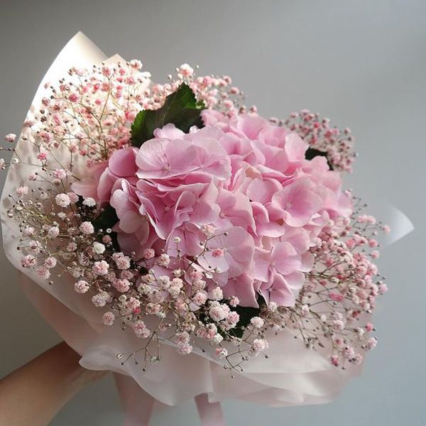 Pinkish Pinky Pinkish Pinky | Online Pink Hydrangea Flowers Delivery in India | Orderr Now at JuneFlowers.com