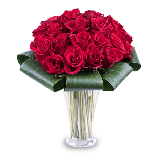 9f6a1fe5fd57879fa0c1a9faa343ec4exx Roses in Vase Delivery Bangalore | red rose online - JuneFlowers.com