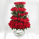 Amazing Roses | Juneflowers.com