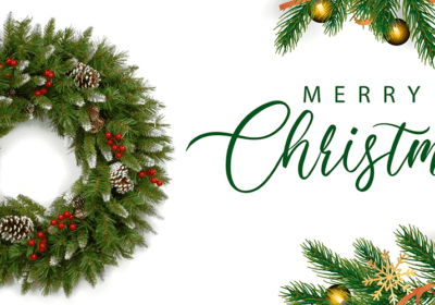 Beautiful Christmas Flowers Arrangement Ideas For Christmas 2024