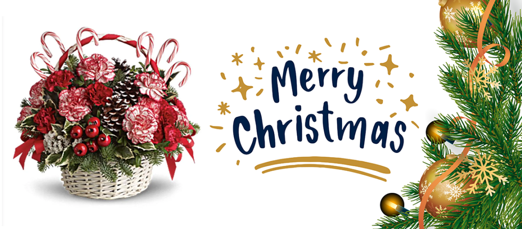 "Christmas Gift Collection - Flowers Are a Great Gift to Give This Christmas - Order Now at Jun Flowers 2024"