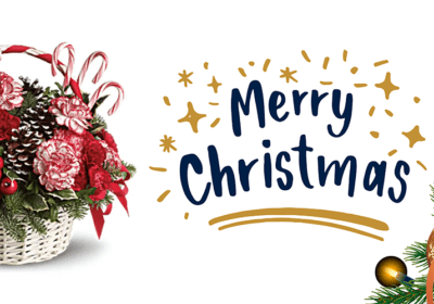 "Christmas Gift Collection - Flowers Are a Great Gift to Give This Christmas - Order Now at Jun Flowers 2024"