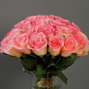 pink rose in glass vase