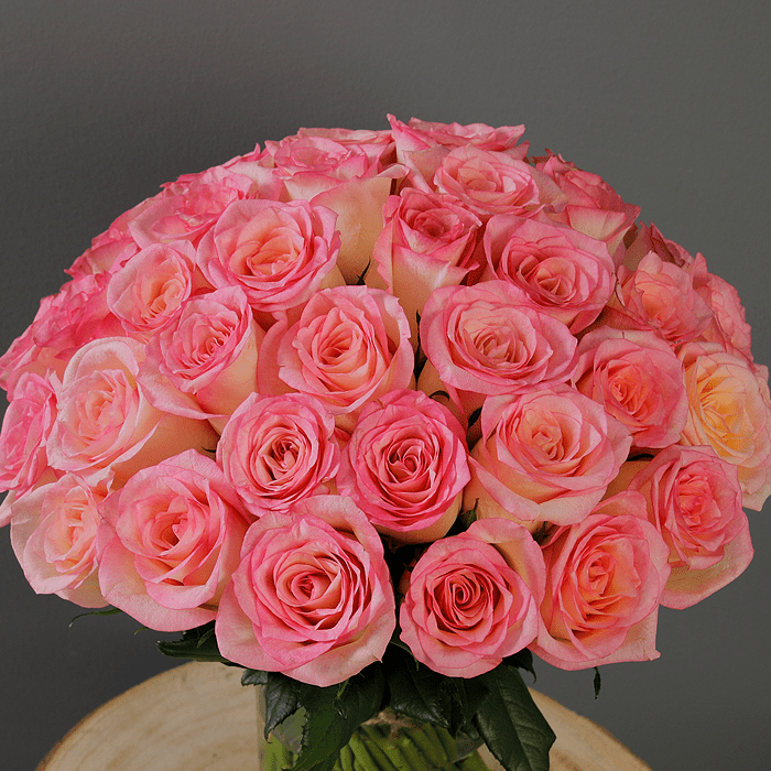pink rose in glass vase