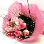 Light Pink Roses Delivery Delhi | Pink Passion Roses at Junflower.in