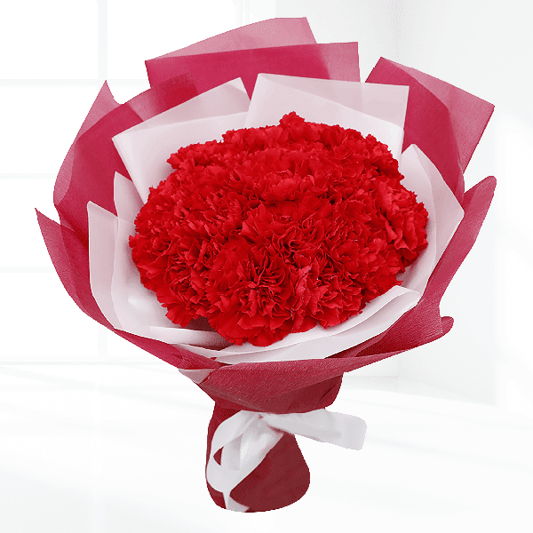 Red Carnation Bouquet Red Carnation Bouquet | Online Flowers Delivery | June flowers