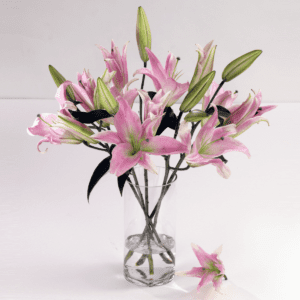 Mother's Day Lilies | Online Florist Delivery Mumbai | JuneFlowers.com