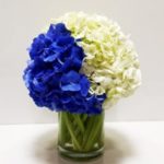 Two Toned Hydrangeas | Send Fresh Flowers With Vase to India | Order now at JuneFlowers.com