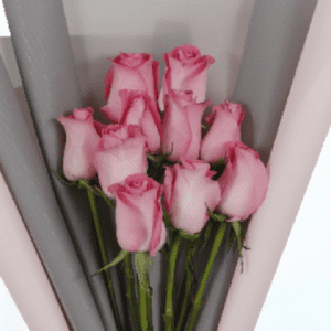 Simple pink | JuneFlowers.com