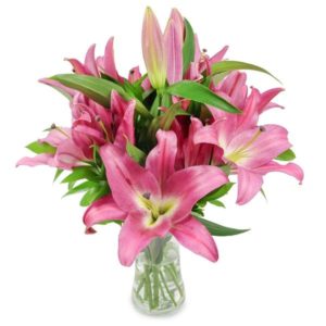 VIBRANT DELIGHT| Online pink lily Delivery in Bangalore |JuneFlowers.com