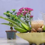 Conch Blessing Hamper