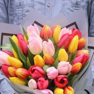 Rainbow Tulips | Juneflowers.com