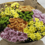 bunch_of_chrysanthemum