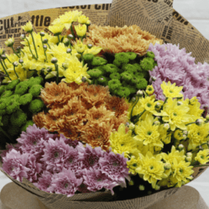 BUNCH OF CHRYSANTHEMUM | Juneflowers.com