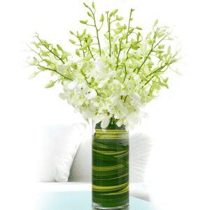 Captivating White Orchid - White Orchid Bouquet | Juneflower